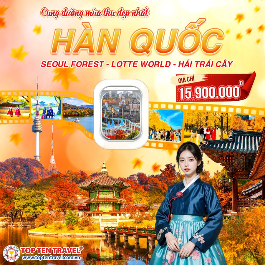 Tour Hàn Quốc Mùa Thu : Seoul Forest - Lotte World 5N4D